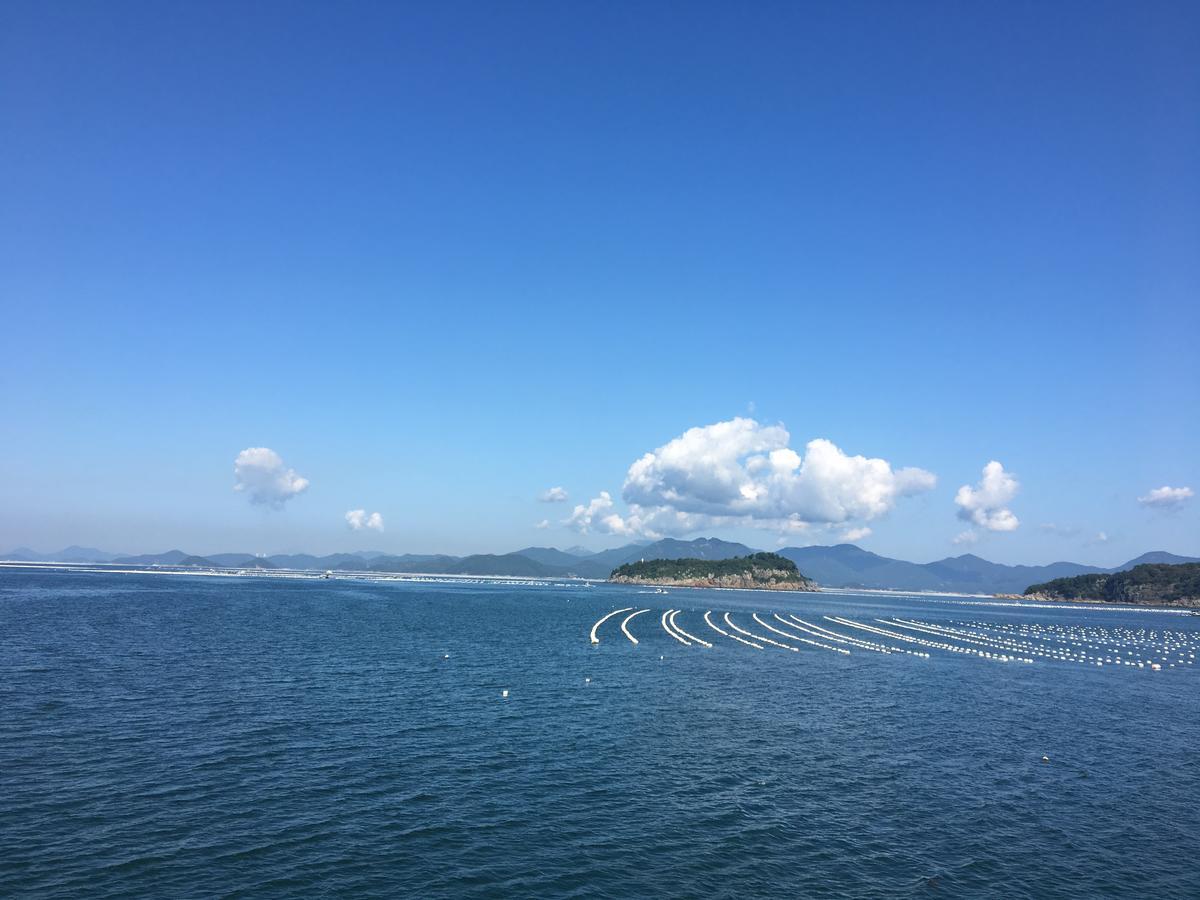 统营市 哈戈旅馆酒店 外观 照片