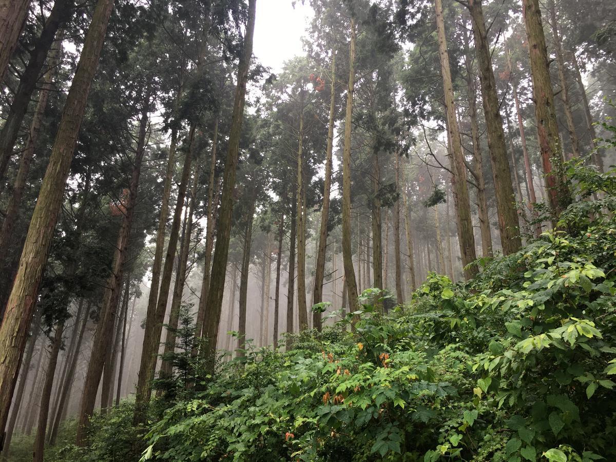统营市 哈戈旅馆酒店 外观 照片